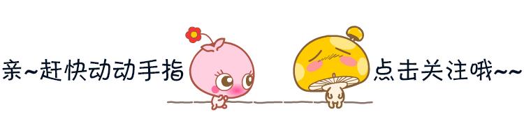 人鱼姬化妆刷套装,人鱼姬高光款