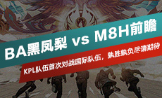 ba黑凤梨对战ts,kplba黑凤梨