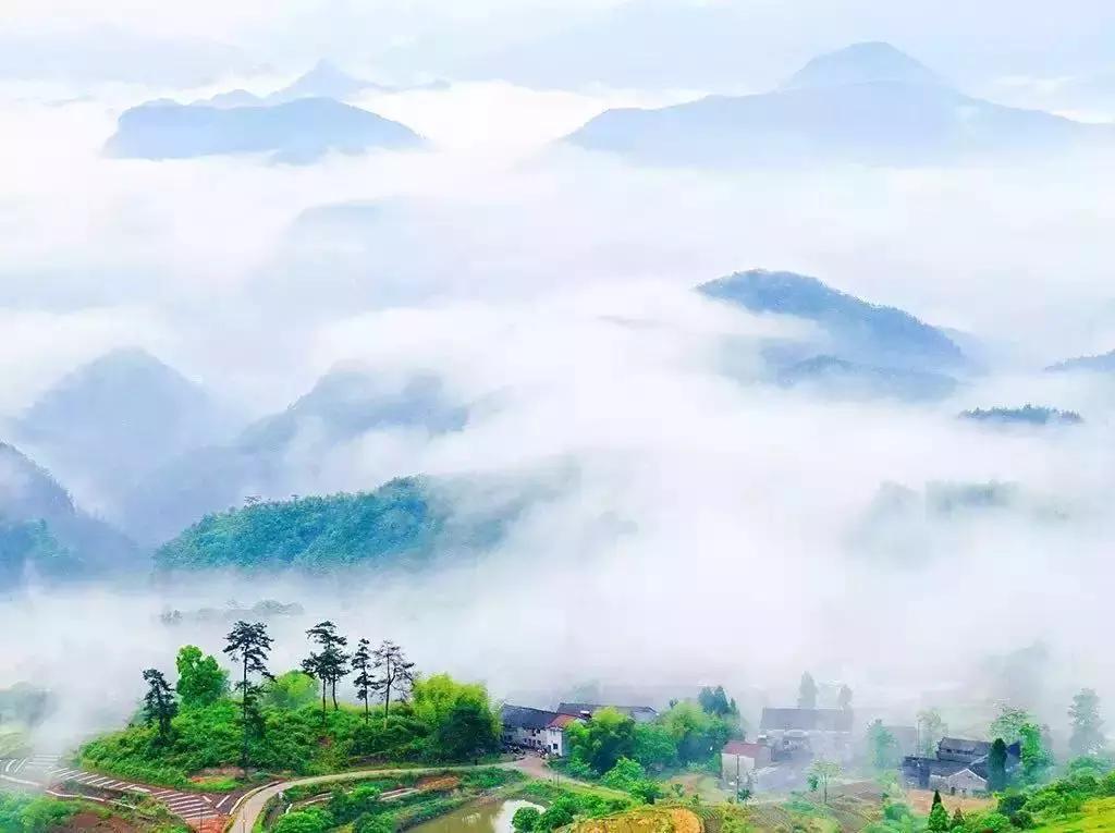 夏天应该怎么去旅游凉快,为什么夏天是最好的旅行时间
