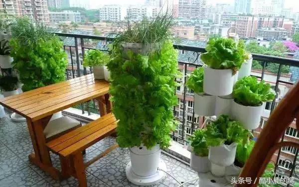 论种族天赋，在下是彻底输给了这波神操作了！