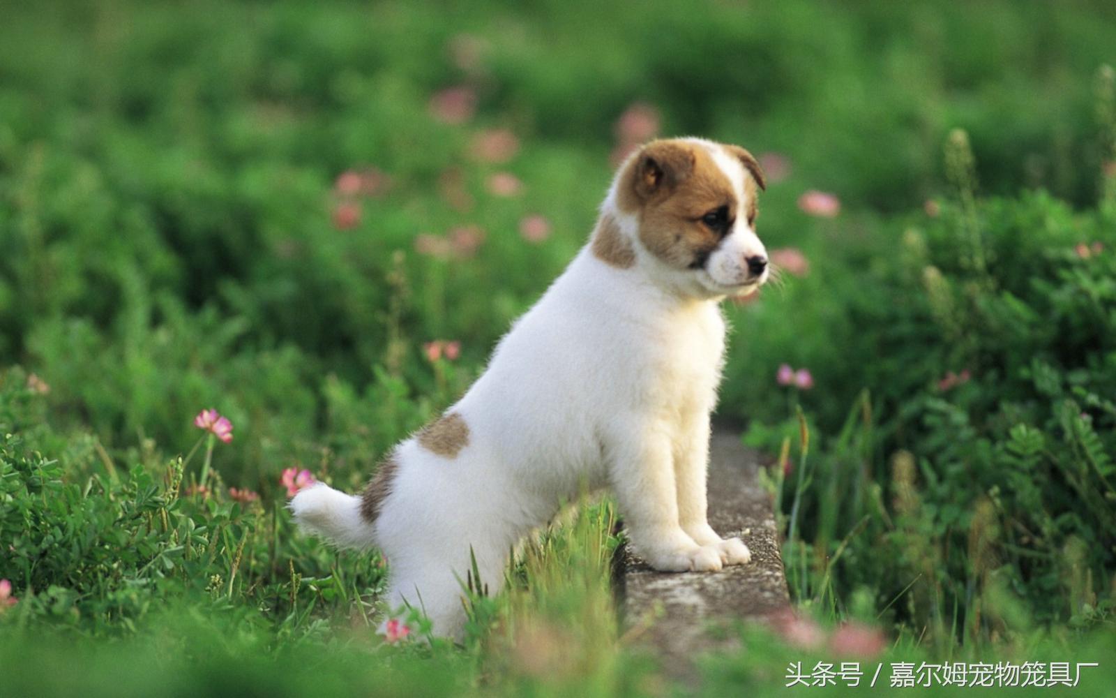 同是一个药为什么价格差好几倍,同样的感冒药为什么价格差好多