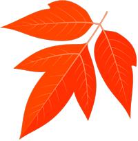 小学体育见习日志,学前教育见习日志