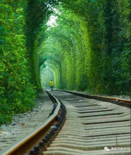 醉美中国——江苏