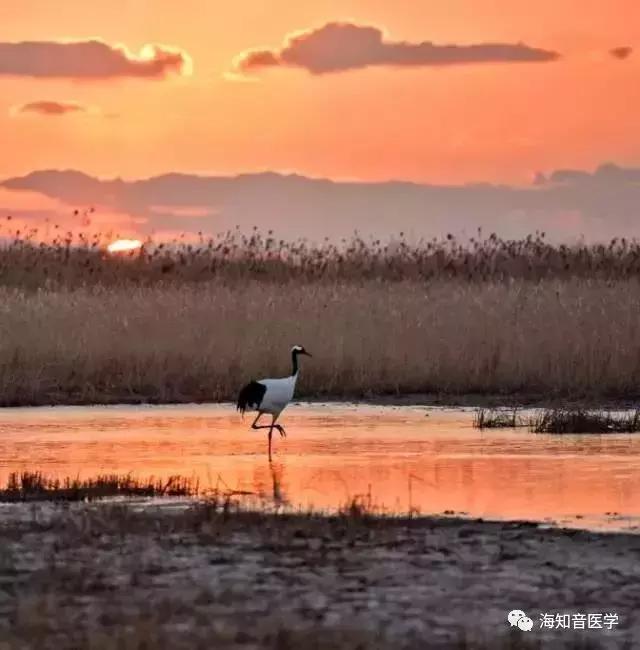 醉美中国——江苏