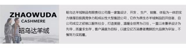 昭乌达羊绒赤峰,昭乌达羊绒高级定制