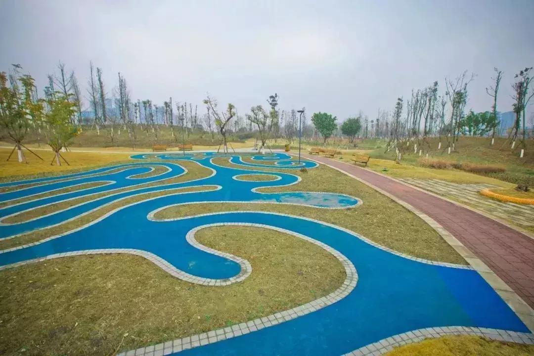 何须去远方看风景,双流绝美绿道