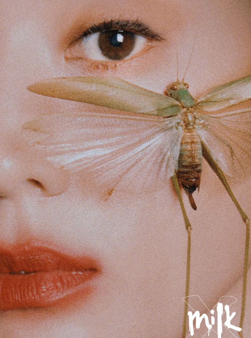 张钧甯登上《Milk》杂志，把虫子放脸上凹造型，眉毛吓到飞起！