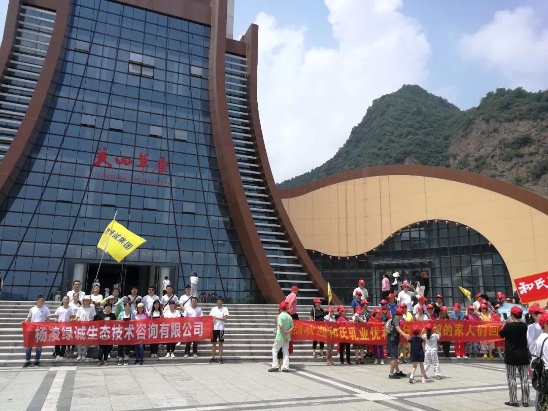 人从众的模式,人从众