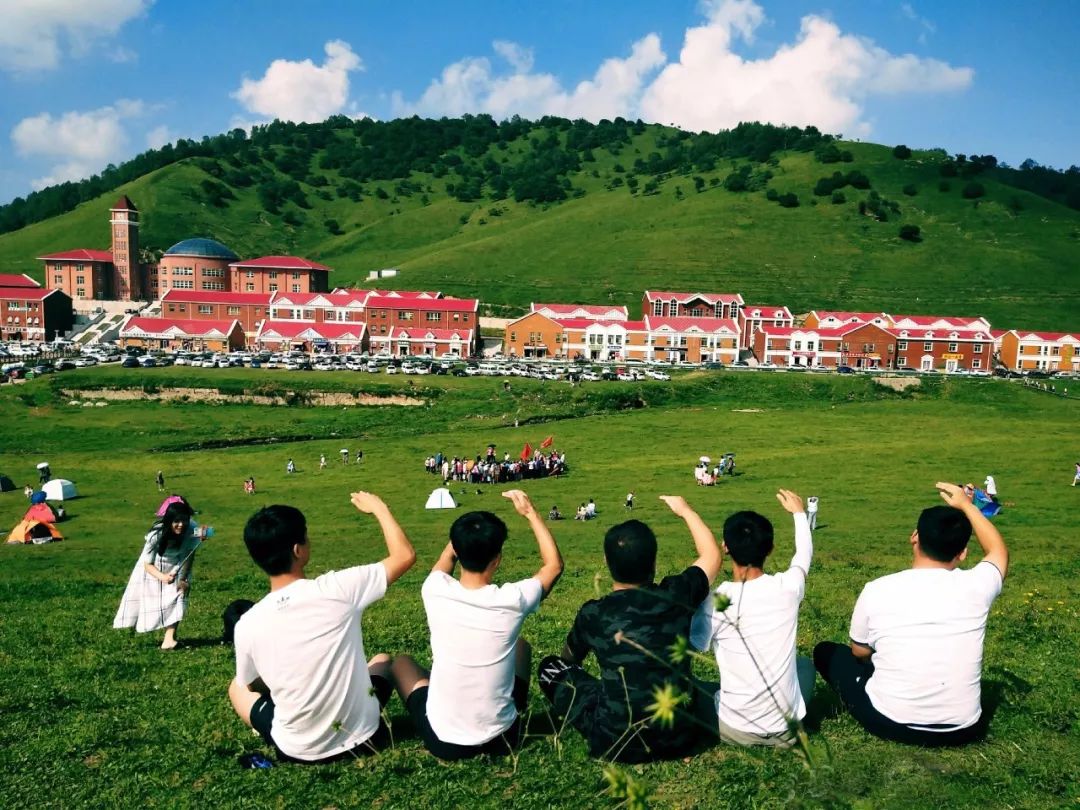 人从众的模式,人从众