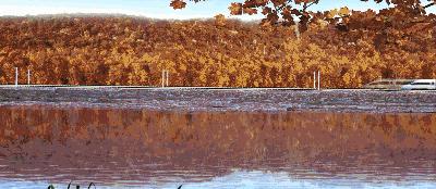 南充直达香港,南充有始发高铁至香港吗