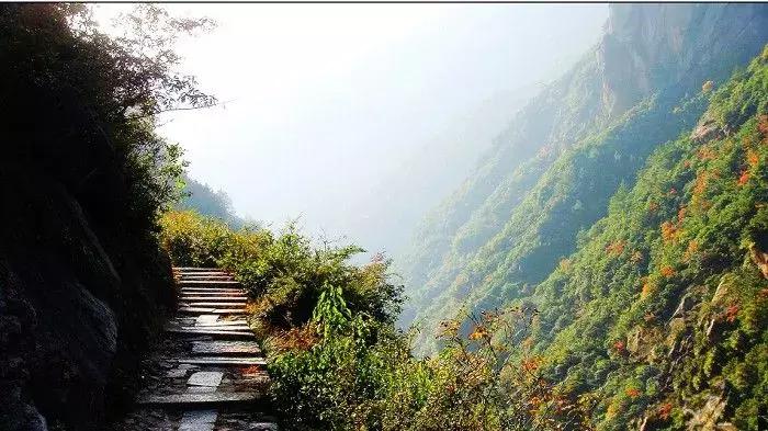 宣城，我宣你！