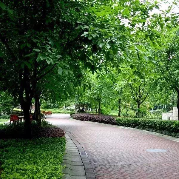 深圳足球公园免费开放,深圳新的草地公园