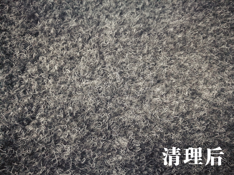 eureka洗地毯机器,卡赫蒸汽清洁机sc5评测