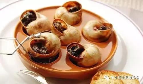 欧罗巴营养美食,欧罗巴美食探秘