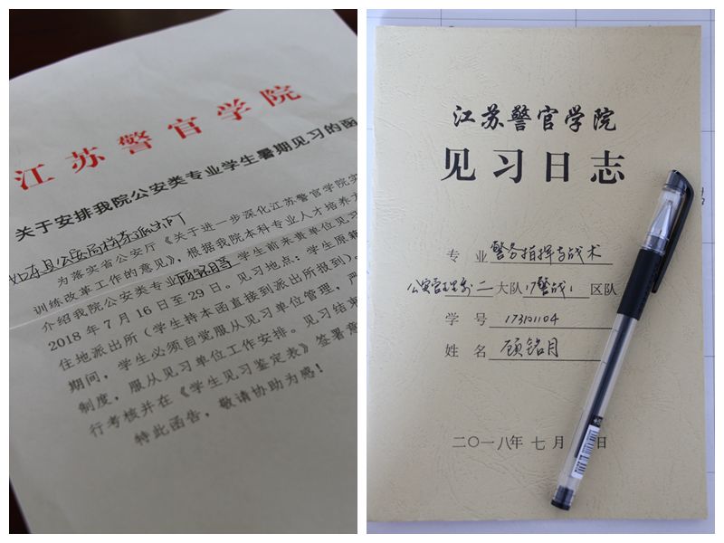 小学体育见习日志,学前教育见习日志