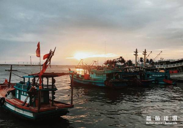 蓝莓评测美国蓝莓,蓝莓评测