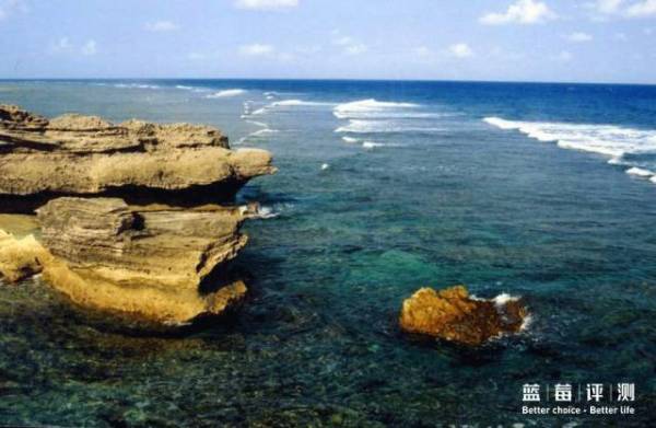 蓝莓评测美国蓝莓,蓝莓评测