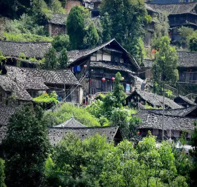 苍南深山,苍南隐秘的地方