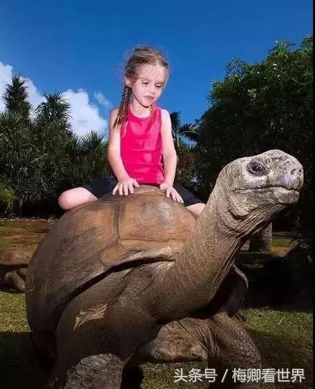 毛里求斯东西南北部哪个最好玩,毛里求斯攻略