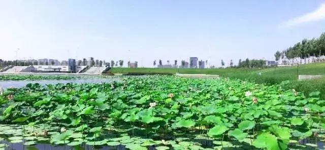 浑南健身训练营,下雨健身好去处