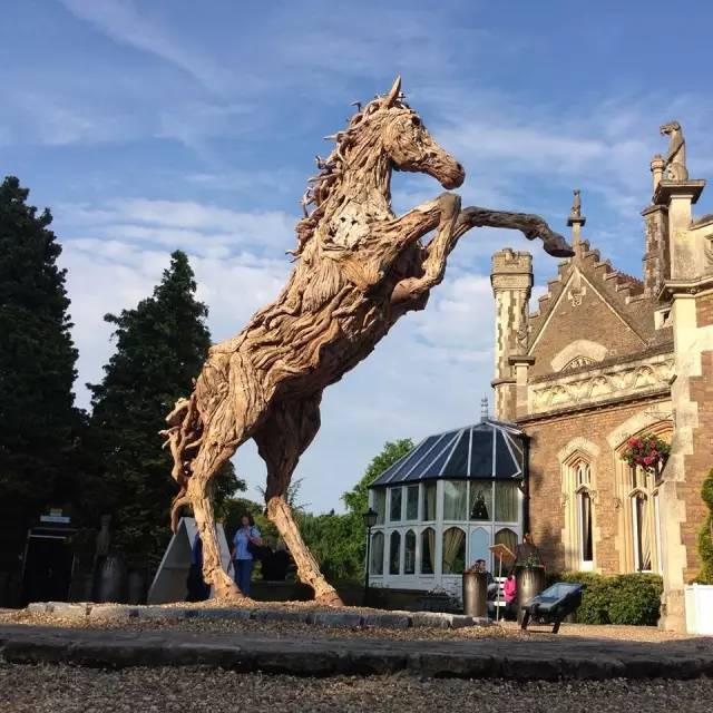 朽木可雕琢,朽木可雕