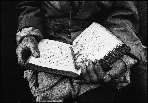 云南奇葩,云南奇葩视频