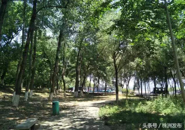 株雷路改造进展,株雷路修好吗