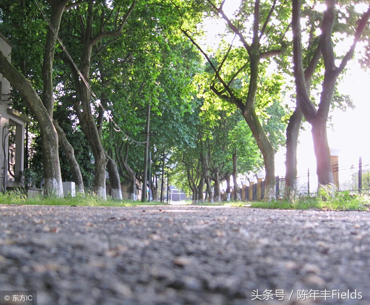 闲扯│毕业后的我来谈谈对于“资源”的看法