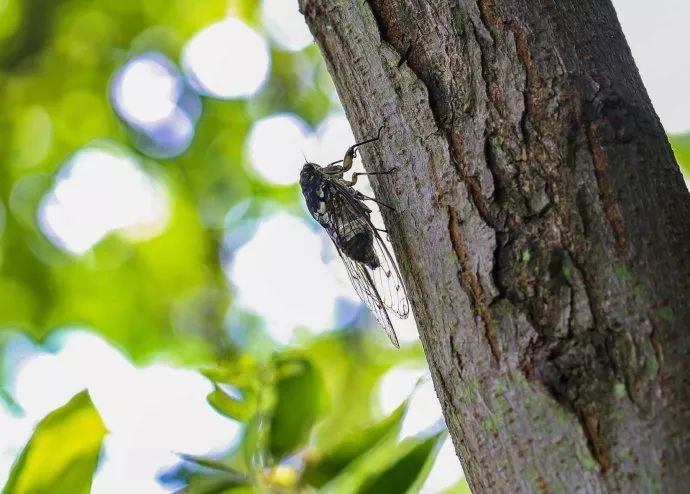 立秋暑去凉来一叶知秋,立秋暑气渐敛一叶知秋