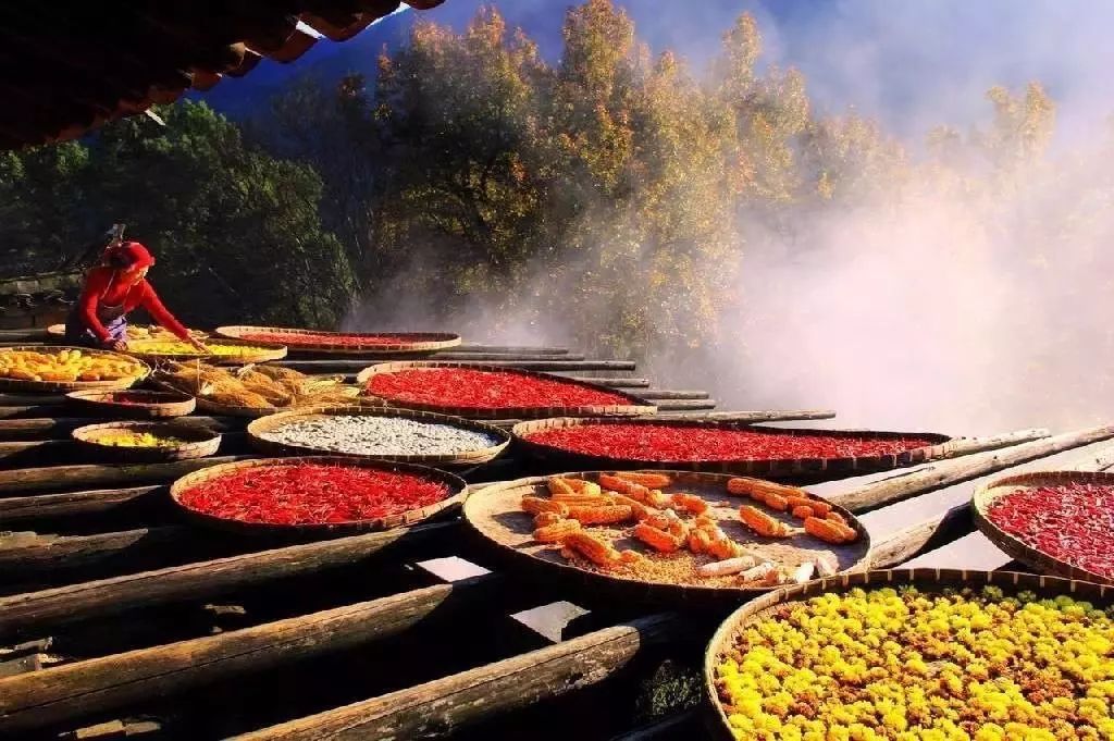 立秋暑去凉来一叶知秋,立秋暑气渐敛一叶知秋