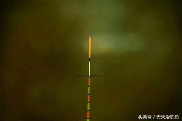 浮漂非常缓慢下沉要不要扬竿,浮漂移动什么样才叫扬竿