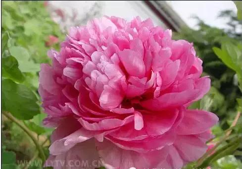 8.8发财日的祝福,8月18日发财日早安祝福图片