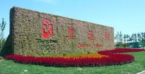 记忆｜今天这个全民节日，源自十年前的一件大事！