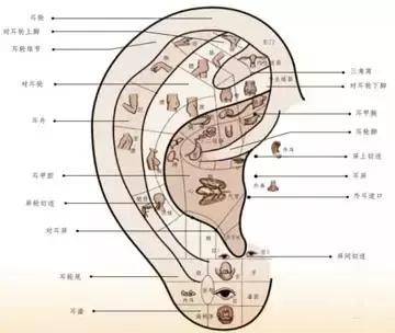 面诊、眼诊、鼻诊、耳诊、唇诊、舌诊、齿诊图……都收集齐了！