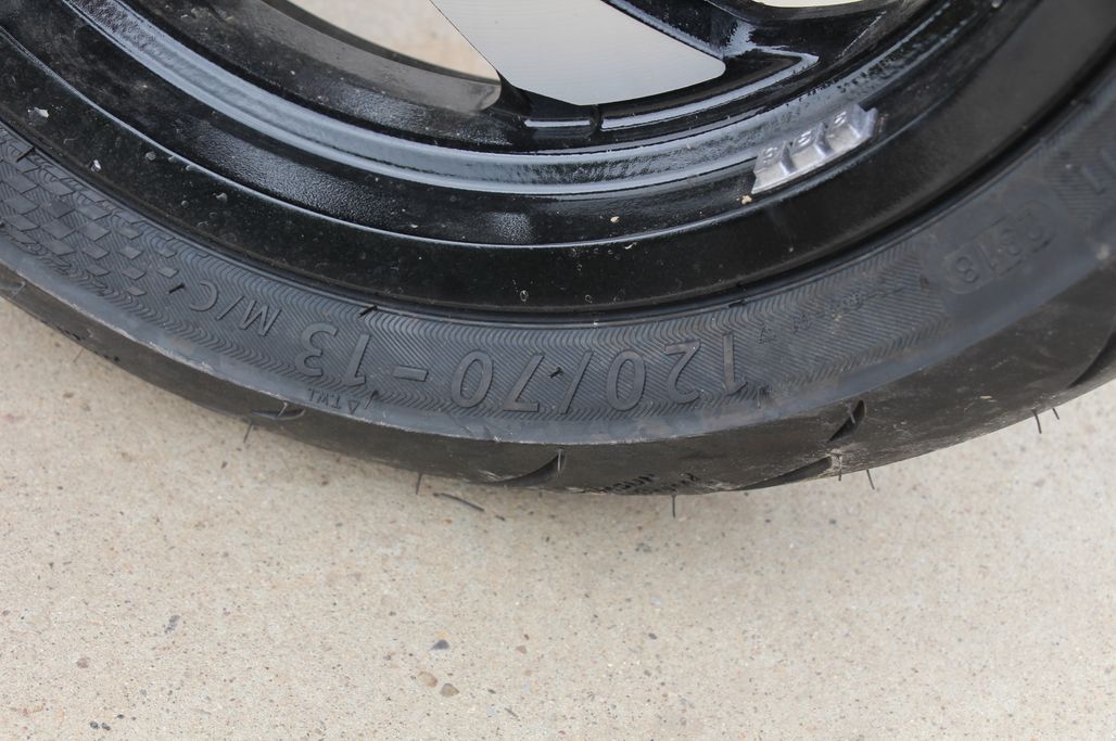 高颜值蚂蚱,漂亮巨型蚂蚱