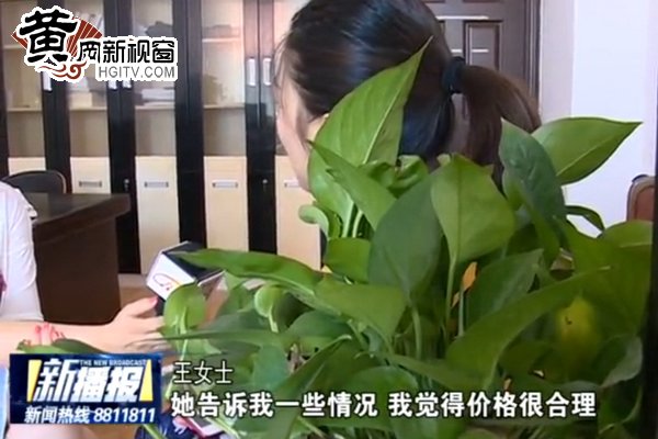 微信转账商家不发货怎么办,微信转账后再发货靠谱吗