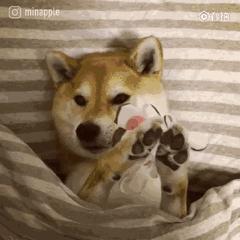 网红面膜最好用的是哪一款,9款网红面膜亲身测评