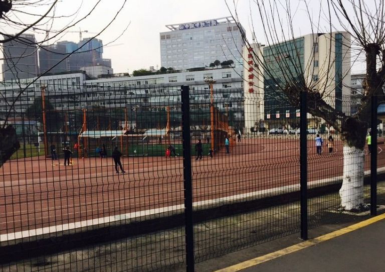 成都的公共体育馆免费开放有哪些,成都哪些体育场馆免费开放