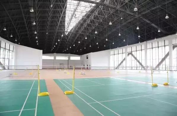 成都155个公共体育场馆免费,成都体育场有序开放