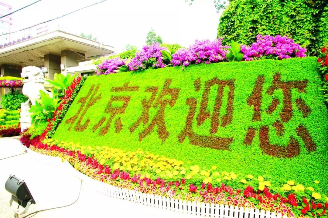 老照片北京奥运会,奥运十年中国十年