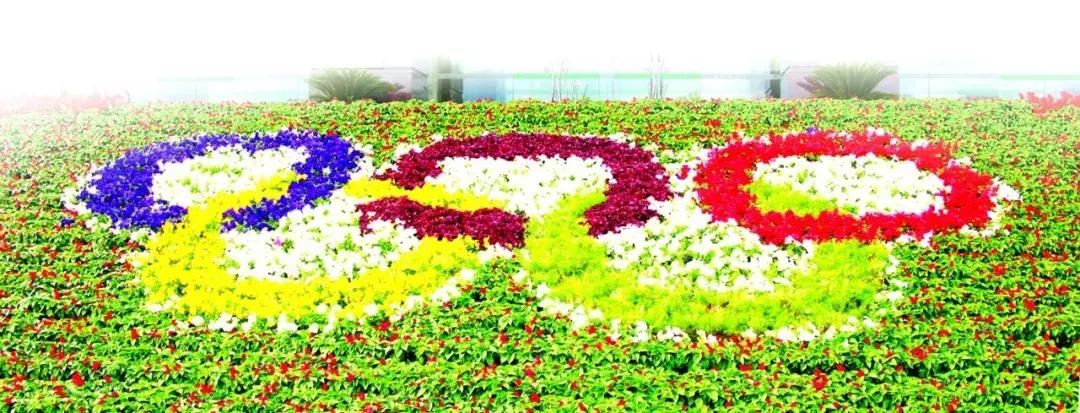 海淀十年照片,海淀40年前的照片