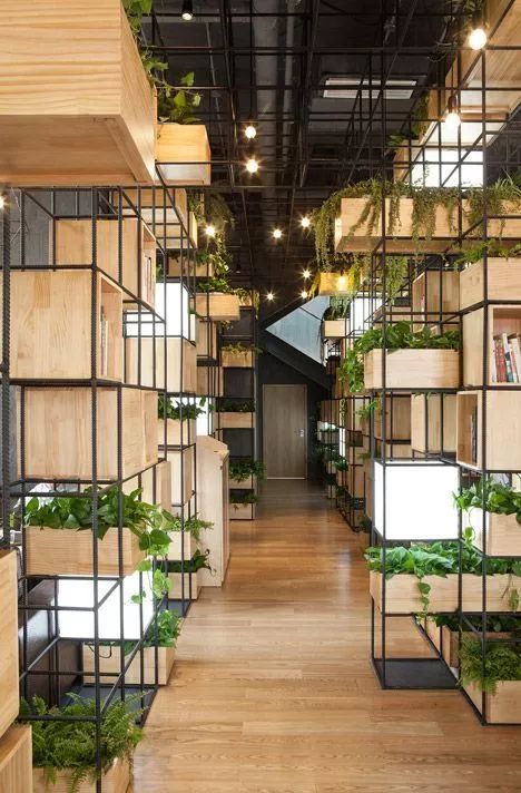 适合大白墙的绿植,把绿植挂在墙上