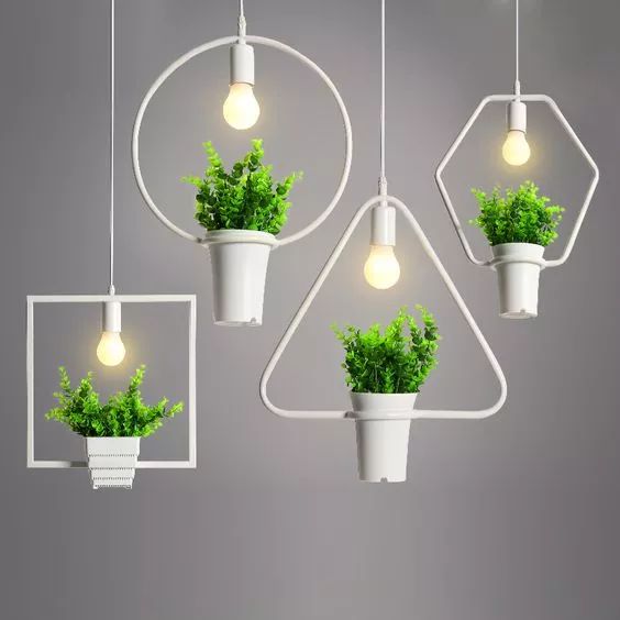 适合大白墙的绿植,把绿植挂在墙上