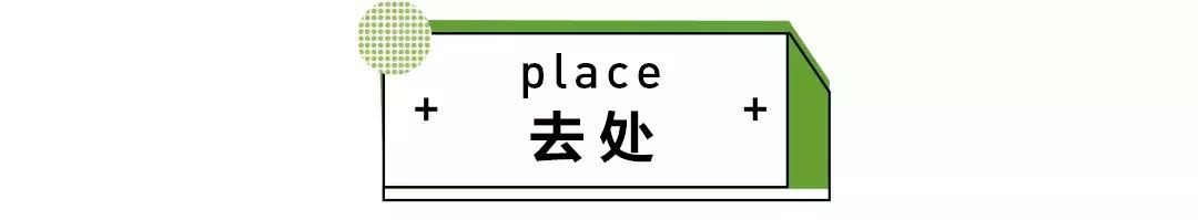 武汉汉口江滩芦苇花,秋高气爽去汉口江滩赏花