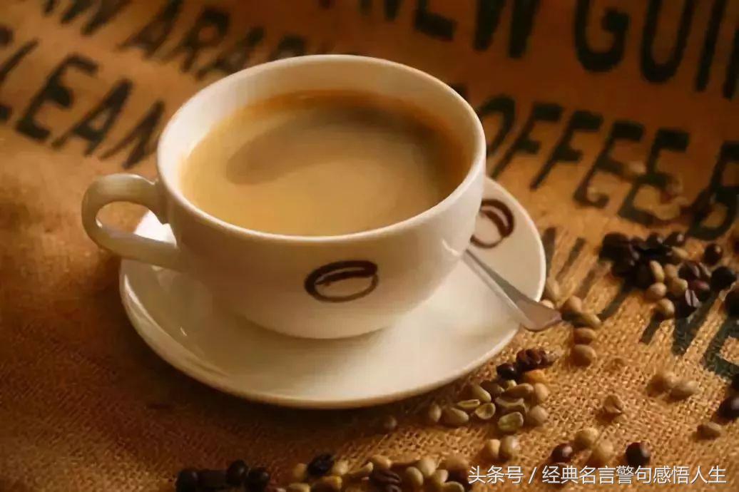 过好自己没必要讨好任何人的句子,不讨好任何人既不需要也没必要