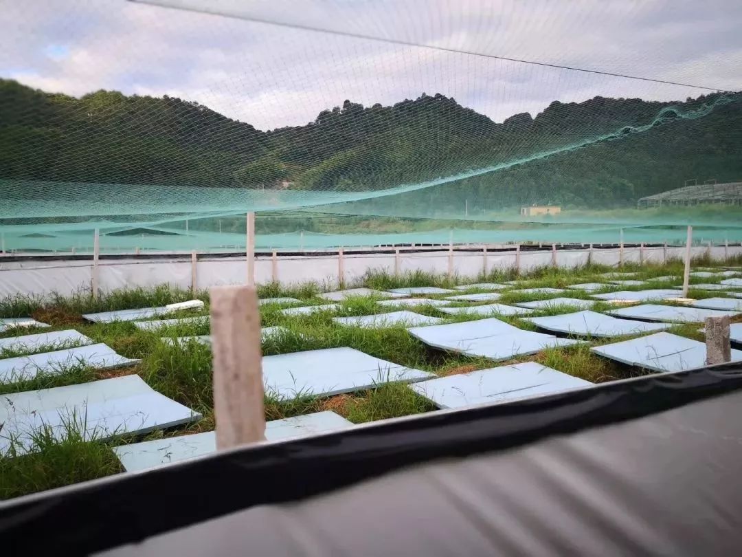 看过来！带你走一走将乐的这些返乡青年创业基地~｜新时代新作为新篇章