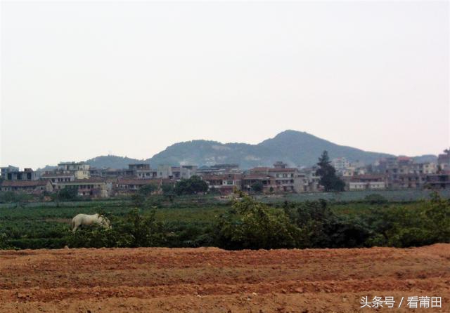 莆田天马阁最新消息,莆田天马山的天马阁