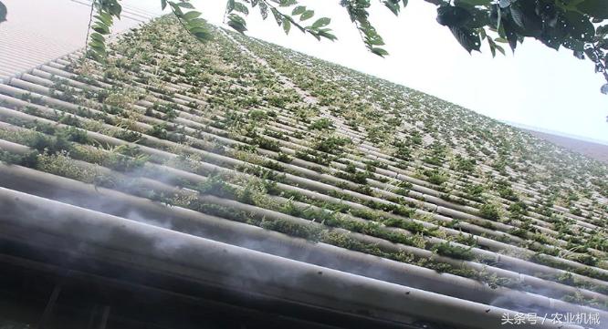 洋马发动机有限公司怎么样,洋马总部地址