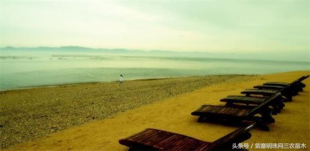 辽宁农家乐旅游攻略,辽宁农家度假村