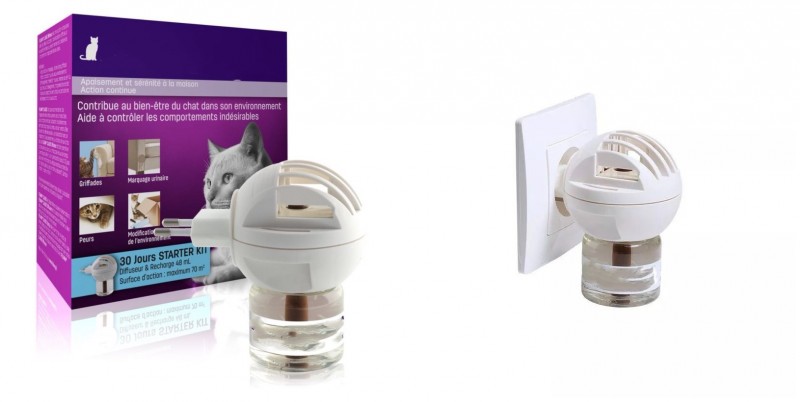 新手铲屎官如何讨好猫咪,铲屎官怎么讨猫咪喜欢